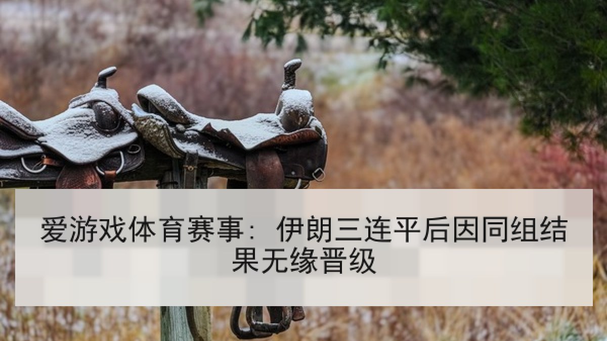 爱游戏体育赛事: 伊朗三连平后因同组结果无缘晋级