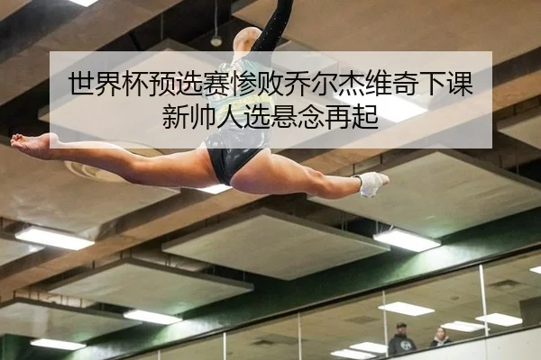 世界杯预选赛惨败乔尔杰维奇下课 新帅人选悬念再起