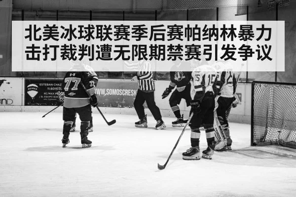 北美冰球联赛季后赛帕纳林暴力击打裁判遭无限期禁赛引发争议